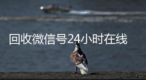 回收微信号24小时在vx回收线秒结（回收微信号24小时交易平台）